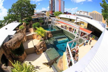 Crocosaurus Cove - Attractions Brisbane 1