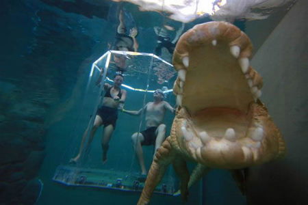 Crocosaurus Cove - Attractions Brisbane 3
