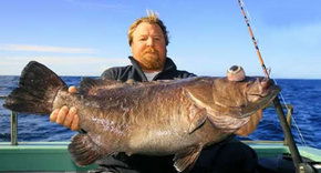 Bravo Fishing Charters - Attractions Brisbane 0