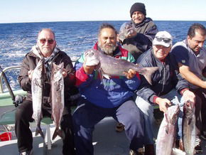 Bravo Fishing Charters - Attractions Brisbane 1