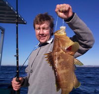 Downunder Charters - Attractions Brisbane