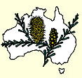Australian National Botanic Gardens - Attractions Brisbane