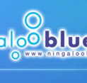 Ningaloo Blue Dive - Attractions Brisbane