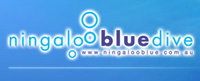 Ningaloo Blue Dive