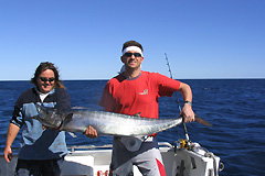 Ningaloo Blue Dive - Attractions Brisbane 3