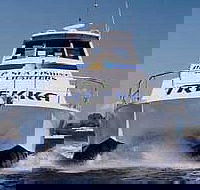 Sunshine Coast Fishing Charters - Attractions Brisbane