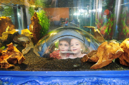 Scitech - Attractions Brisbane 3
