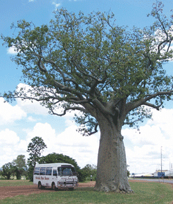 Kununurra Cruises - Attractions Brisbane 1