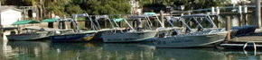 Brooklyn Central Boat Hire & General Store - Attractions Brisbane 1