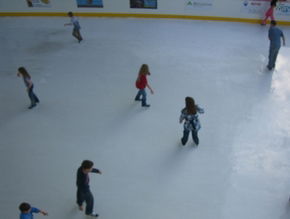 Liverpool Catholic Club Rink - Attractions Brisbane 3
