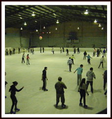 Bendigo Ice Stadium - Attractions Brisbane 1