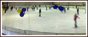 Bendigo Ice Stadium - Attractions Brisbane 2