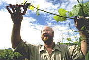 Barossa Experience Tours - Attractions Brisbane 0
