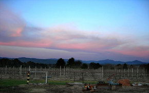 Buller View Wines - Attractions Brisbane 1