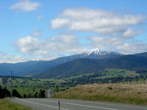 Buller View Wines - Attractions Brisbane 2