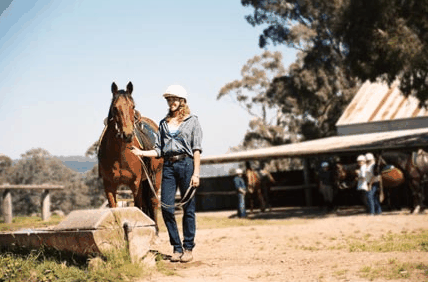 Watsons Trail Rides - Attractions Brisbane