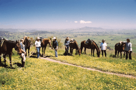 Watsons Trail Rides - Attractions Brisbane 1