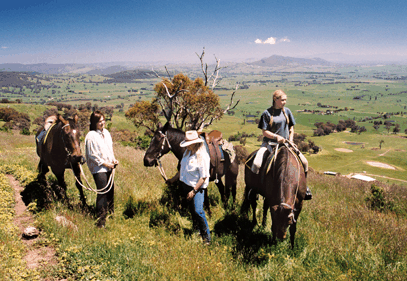 Watsons Trail Rides - Attractions Brisbane 2