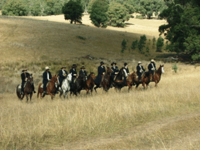 McCormacks Mountain Valley Trail Rides - Attractions Brisbane