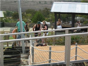  Attractions Brisbane