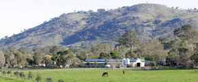 Blue Gum Farm - Attractions Brisbane 1