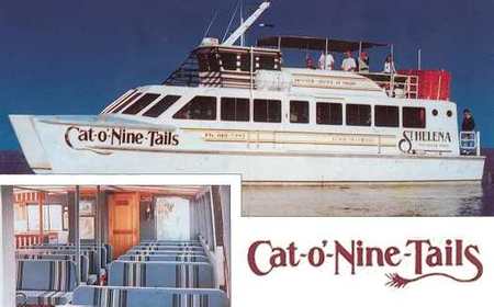 Cat O' NineTails - Attractions Brisbane 1