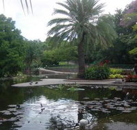 Brisbane City Botanic Gardens - Attractions Brisbane