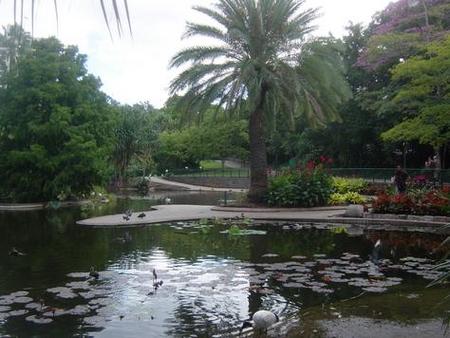 Brisbane City Botanic Gardens - Attractions Brisbane 0