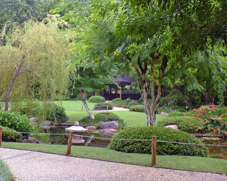 Brisbane City Botanic Gardens - Attractions Brisbane 1