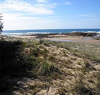 Deepwater National Park - Attractions Brisbane