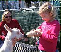 The Sun Herald Sydney Family Show - Attractions Brisbane 2