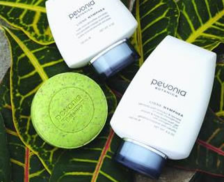 AQueous Spa - Attractions Brisbane 1