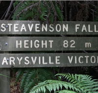 Stevensons Falls - Attractions Brisbane
