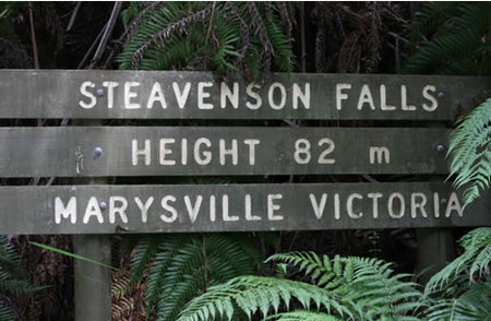 Stevensons Falls - Attractions Brisbane 0