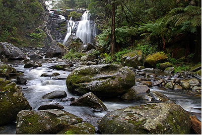 Stevensons Falls - Attractions Brisbane 2