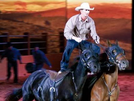 Australian Outback Spectacular - Attractions Brisbane 1