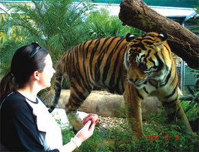 Crocodylus Park - Attractions Brisbane 1