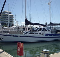 Coral Sea Dreaming Dive and Sail - Attractions Brisbane