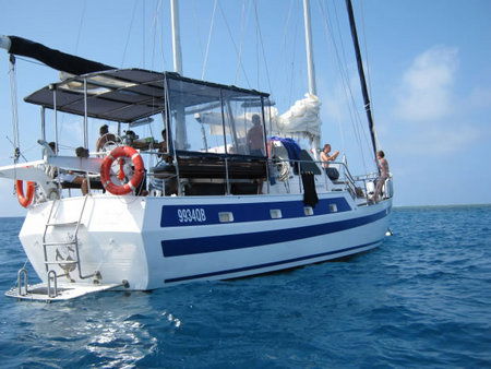 Coral Sea Dreaming Dive And Sail - Attractions Brisbane 3