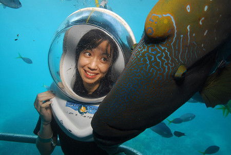 Sunlover Reef Cruises - Attractions Brisbane 0