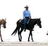Ride the Beach - Attractions Brisbane