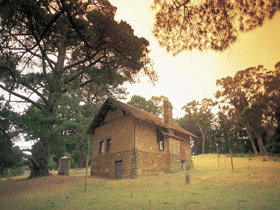 Heysen - The Cedars - Attractions Brisbane 0