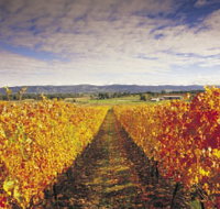 Link Tours - Attractions Brisbane