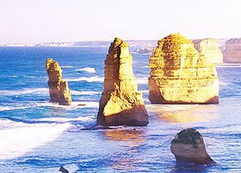 Bunyip Tours - Attractions Brisbane 3