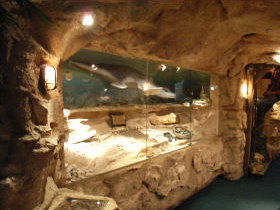 The National Opal Collection - Attractions Brisbane 2