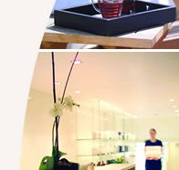 Lyall Hotel and Spa - Attractions Brisbane