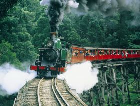 Gray Line Tours Melbourne - Attractions Brisbane 1