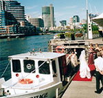Bay  River Cruises - Attractions Brisbane