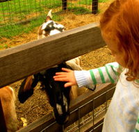 Collingwood Children's Farm - Attractions Brisbane