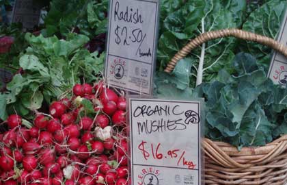 Collingwood Children's Farm - Attractions Brisbane 1